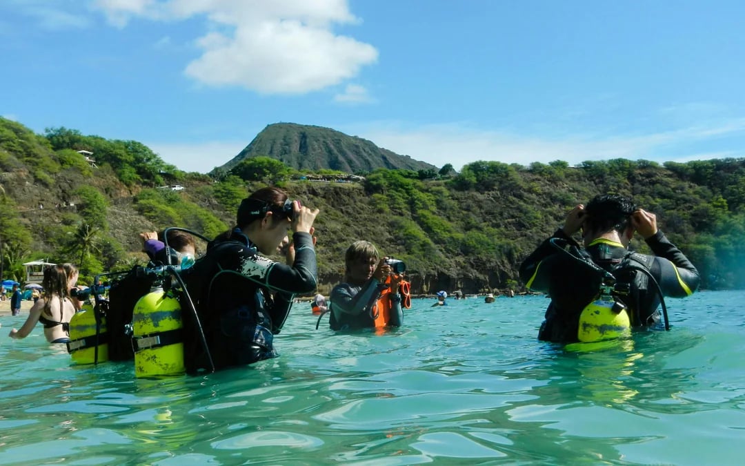 Hanauma Bay Admission Tickets Image 4