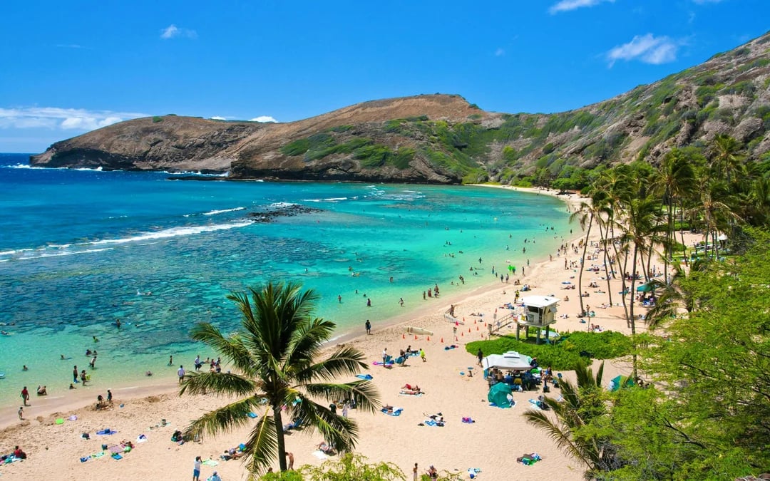 Hanauma Bay & Honolulu Zoo Combo Tickets Image 1