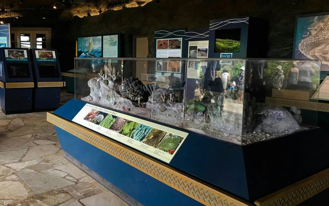 Hanauma Bay & Honolulu Zoo Combo Tickets Image 3