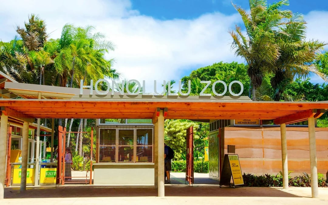 Hanauma Bay & Honolulu Zoo Combo Tickets Image 4