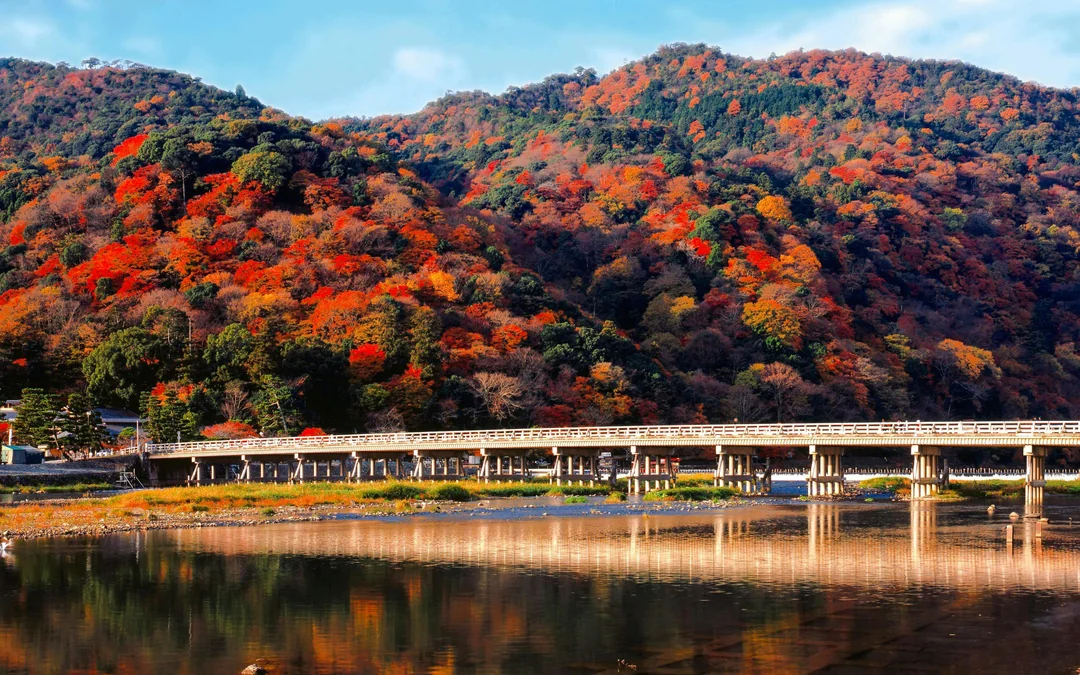 Hankyu Railway 1-Day Pass: Between Osaka, Kyoto, Kobe & Takarazuka Image 3