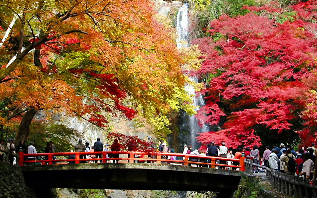Hankyu Railway 1-Day Pass: Between Osaka, Kyoto, Kobe & Takarazuka Image 4
