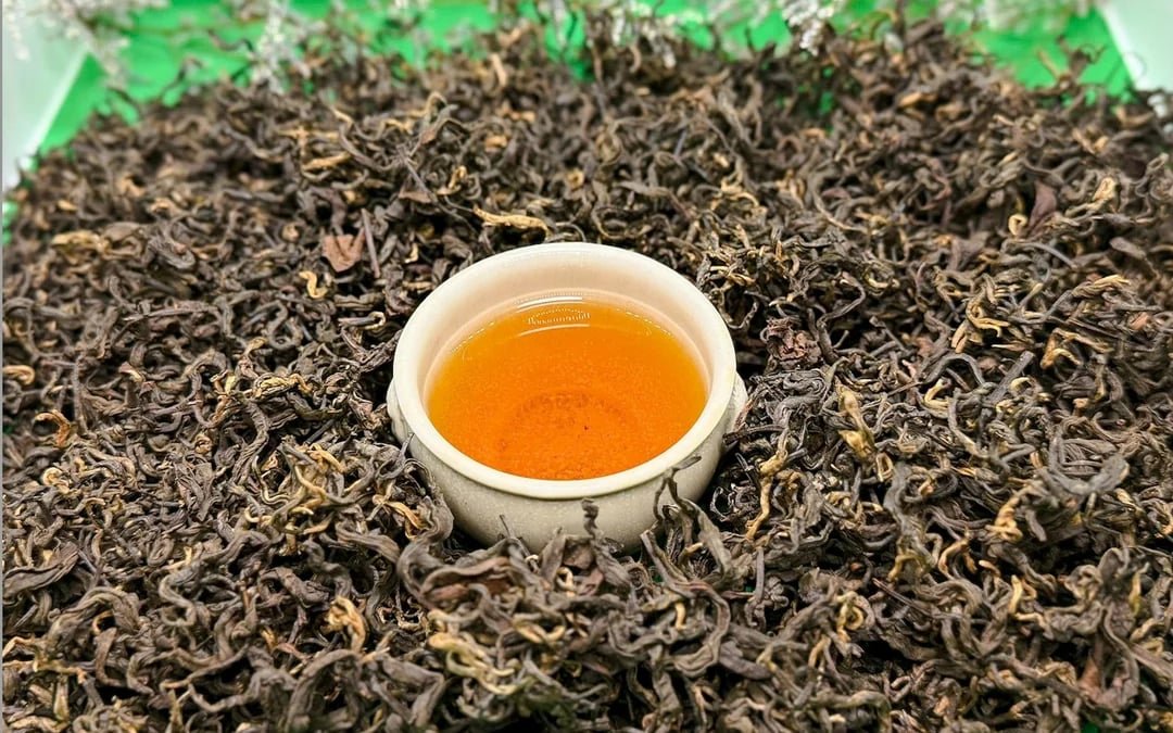 Hanoi: Vietnamese Tea Tasting & Brewing Class with Train Street Viewing Image 7