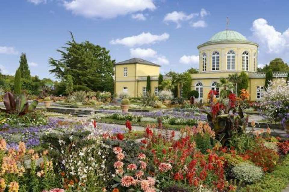 Hanover's Berggarten Tour with a German-Speaking Guide