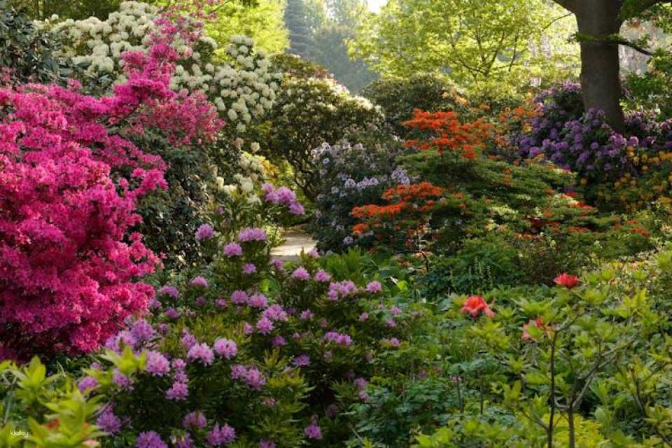 Hanover's Berggarten Tour with a German-Speaking Guide