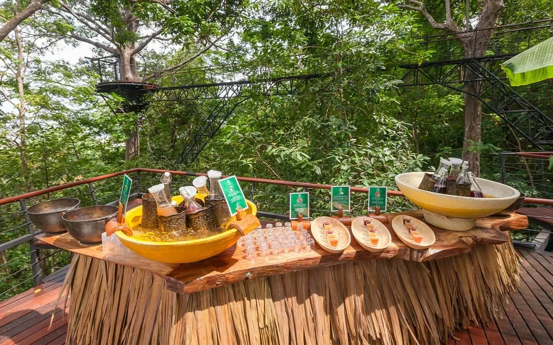 Hanuman World: 10 Platforms Zipline Adventure Image 11