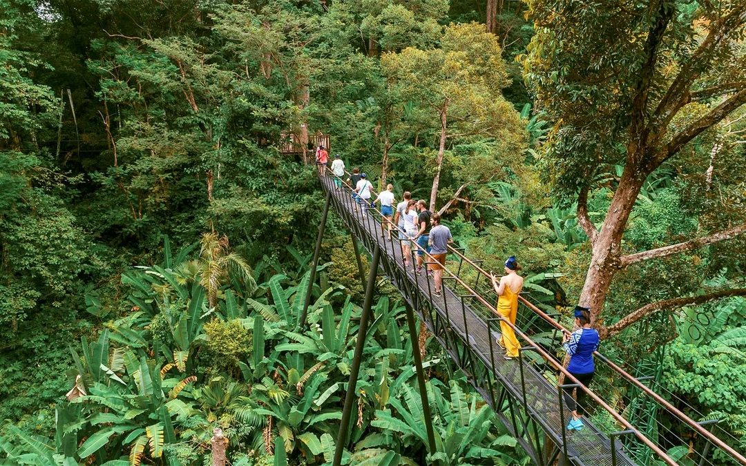 Hanuman World: 10 Platforms Zipline Adventure Image 5