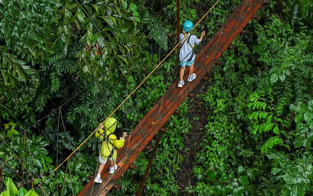 Hanuman World: 32 Platforms Zipline Adventure Image 5