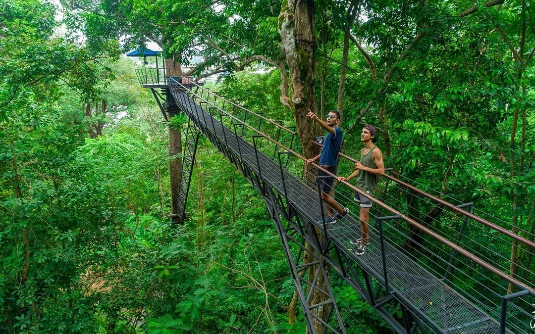 Hanuman World: 32 Platforms Zipline Adventure Image 6