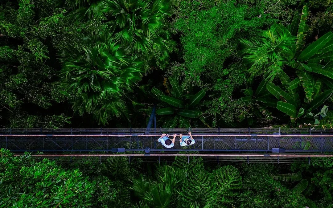 Hanuman World A+ Combo: 32 Zipline Platforms + Roller Zipline + Sky Walk + Meal with Round-Trip Transfers Image 7