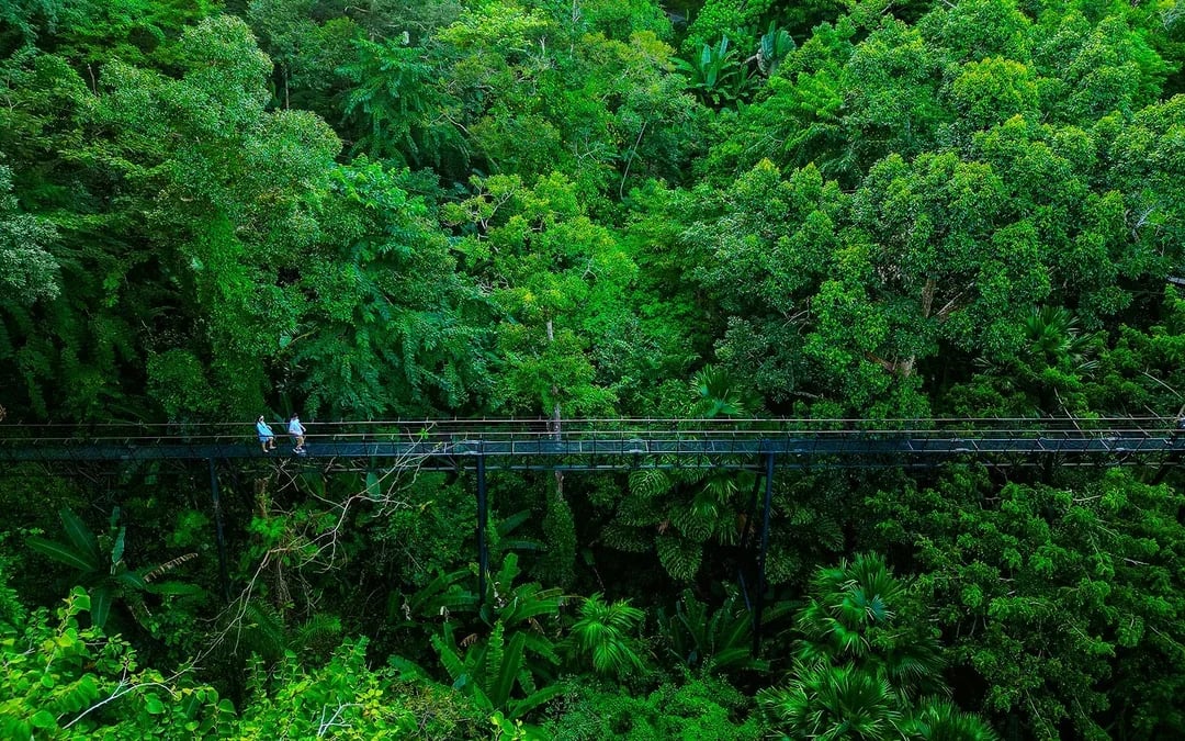 Hanuman World B+ Combo: 18 Zipline Platforms + Roller Zipline + Sky Walk + Meal with Round-Trip Transfers  
 Image 7