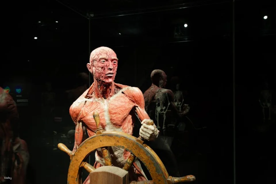 Body Worlds of Amsterdam: The Happiness Project ticket
