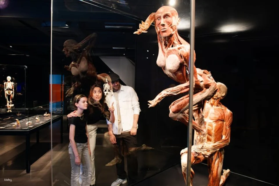 Body Worlds of Amsterdam: The Happiness Project ticket