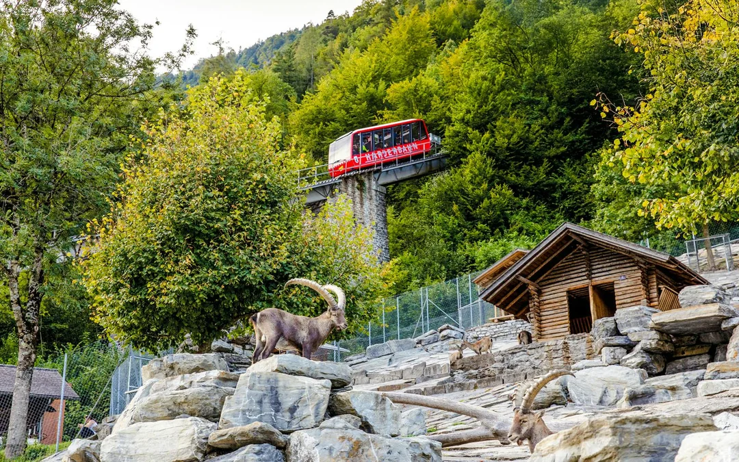 Harder Kulm Round-Trip Funicular Tickets Image 5