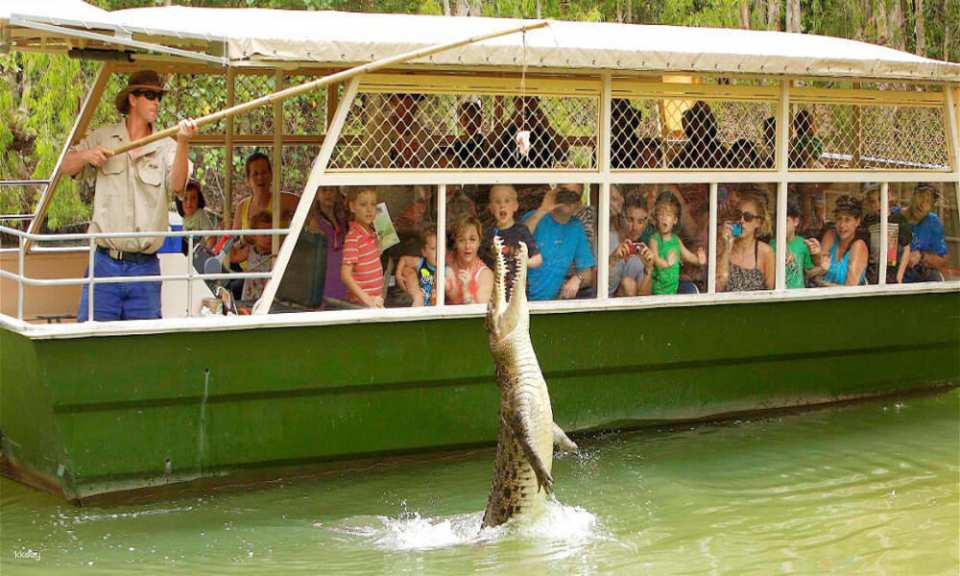 Hartley's Crocodile Adventures Park Entry | Queensland