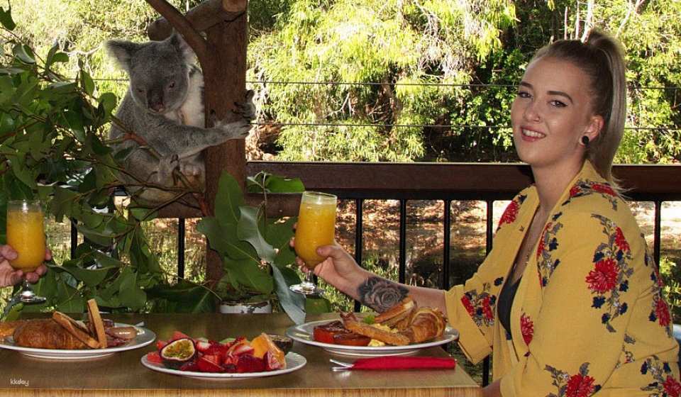 Hartley's Crocodile Adventures Park Entry | Queensland
