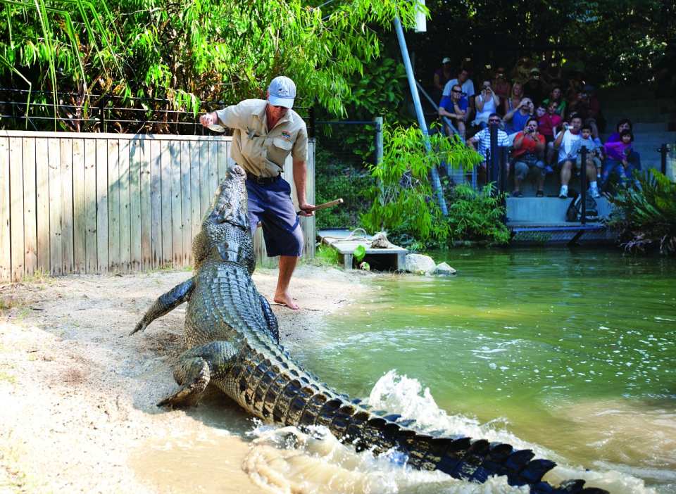 Hartley's Crocodile Adventures Park Entry | Queensland