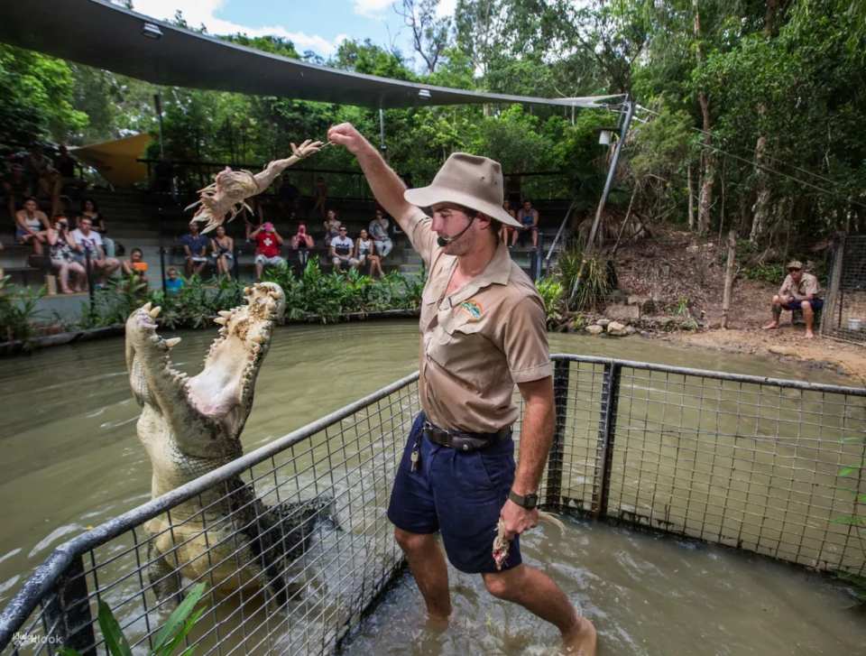 Hartley's Crocodile Adventures Park Entry | Queensland