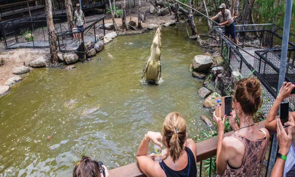 Hartley's Crocodile Adventures Park Entry | Queensland