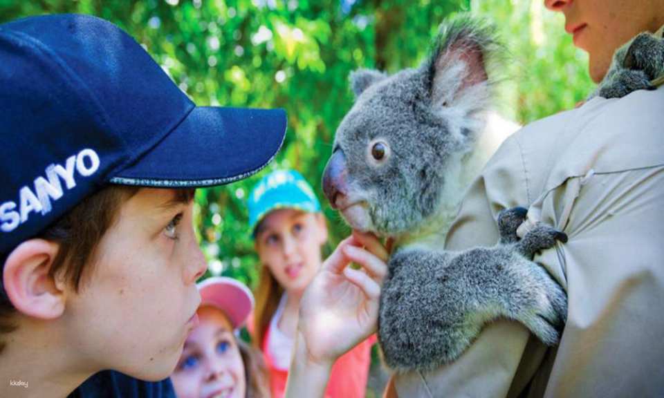 Hartley's Crocodile Adventures Park Entry | Queensland