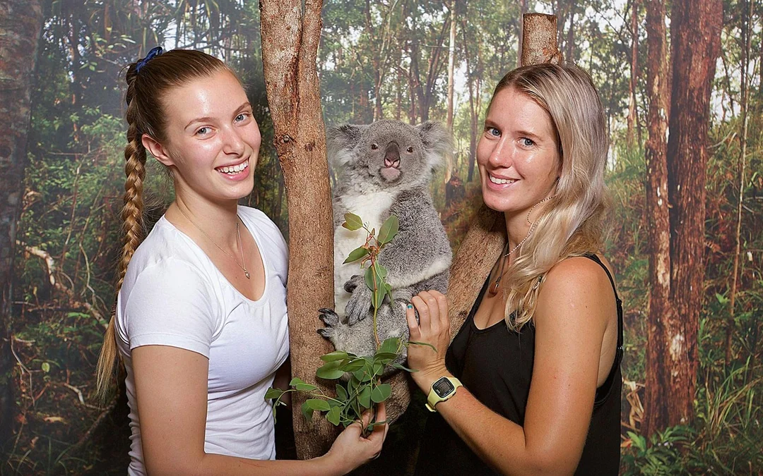 Hartley's Koala Breakfast Image 4
