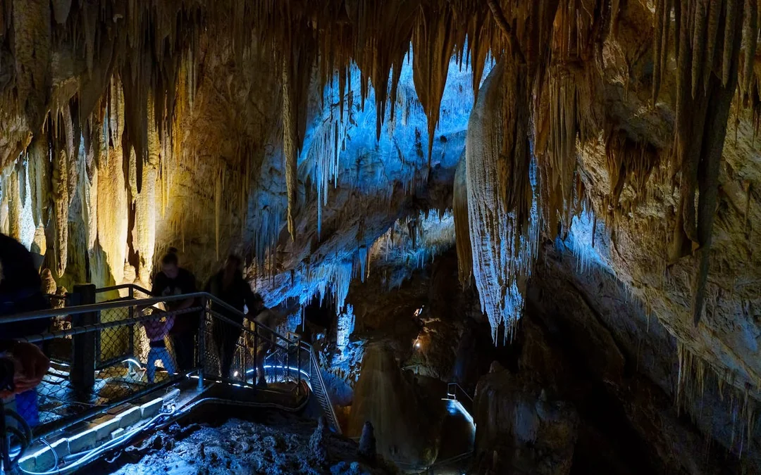 Hastings Caves, Tahune Airwalk and the Huon tasting trail Image 3