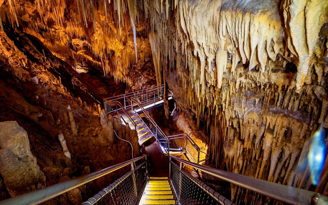 Hastings Caves, Tahune Airwalk and the Huon tasting trail Image 4