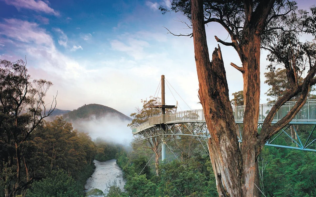 Hastings Caves, Tahune Airwalk and the Huon tasting trail Image 5