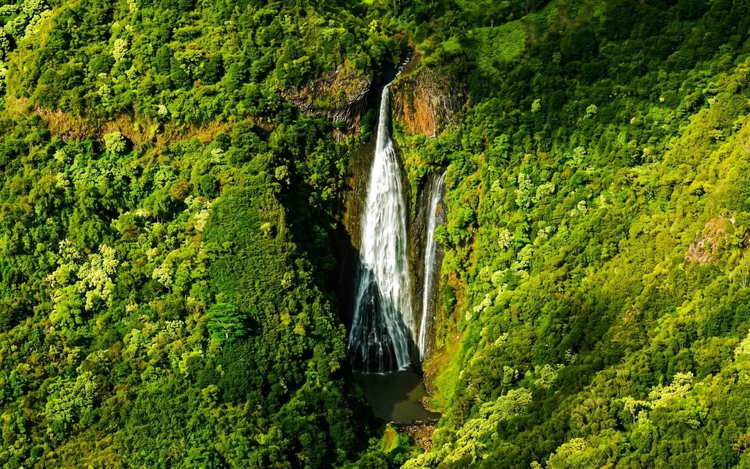 Hawaii Kauai Airplane Tour: Small-Group Circle-Island Tour Image 7