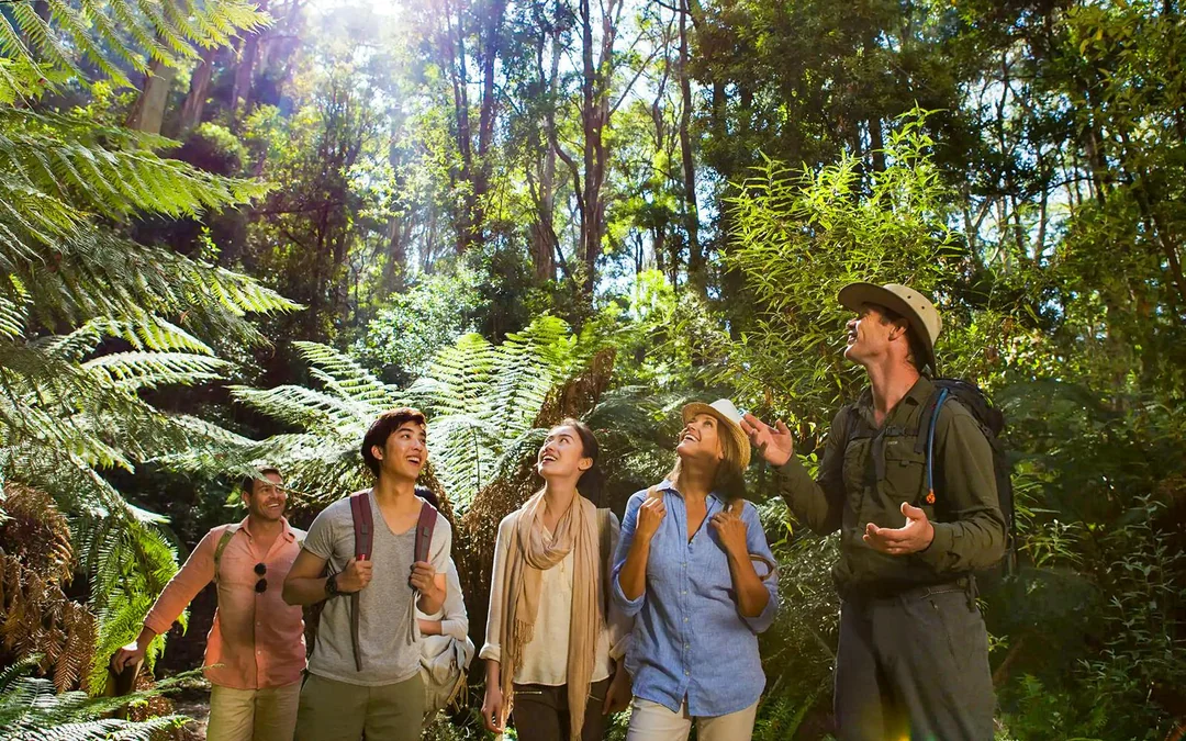 [Headout Exclusive 20% Off] Great Ocean Road & 12 Apostles Full Day Tour with Round-Trip Hotel Transfers
 Image 3