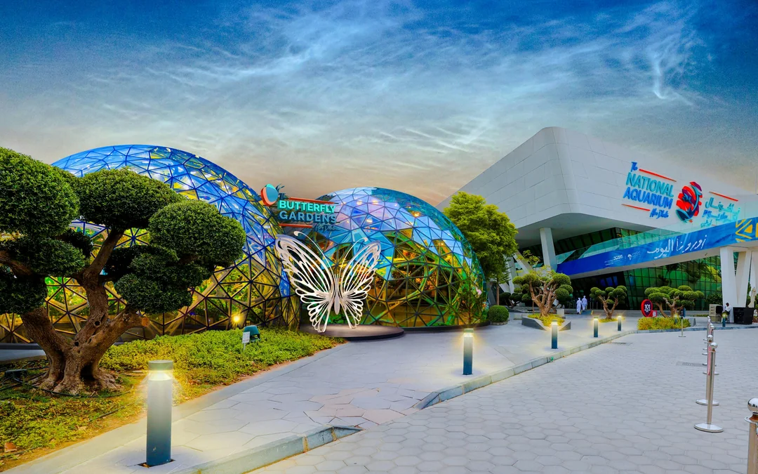Headout Exclusive: The Butterfly Gardens Abu Dhabi Tickets Image 12