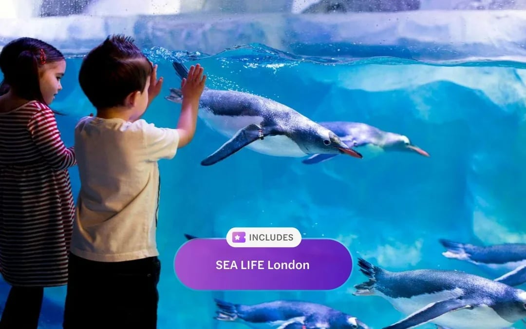 Headout Pass London: Save up to 40% at All Top Attractions Image 11