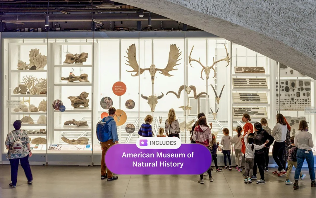 Headout Pass New York: Save up to 40% at All Top Attractions Image 12