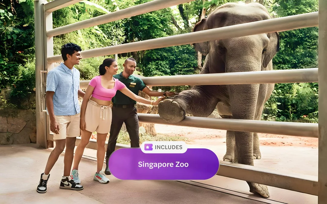 Headout Singapore Pass: Save up to 40% at All Top Attractions Image 12