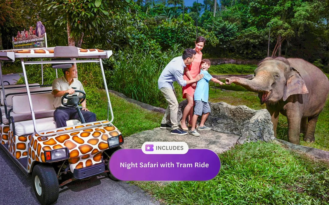 Headout Singapore Pass: Save up to 40% at All Top Attractions Image 4