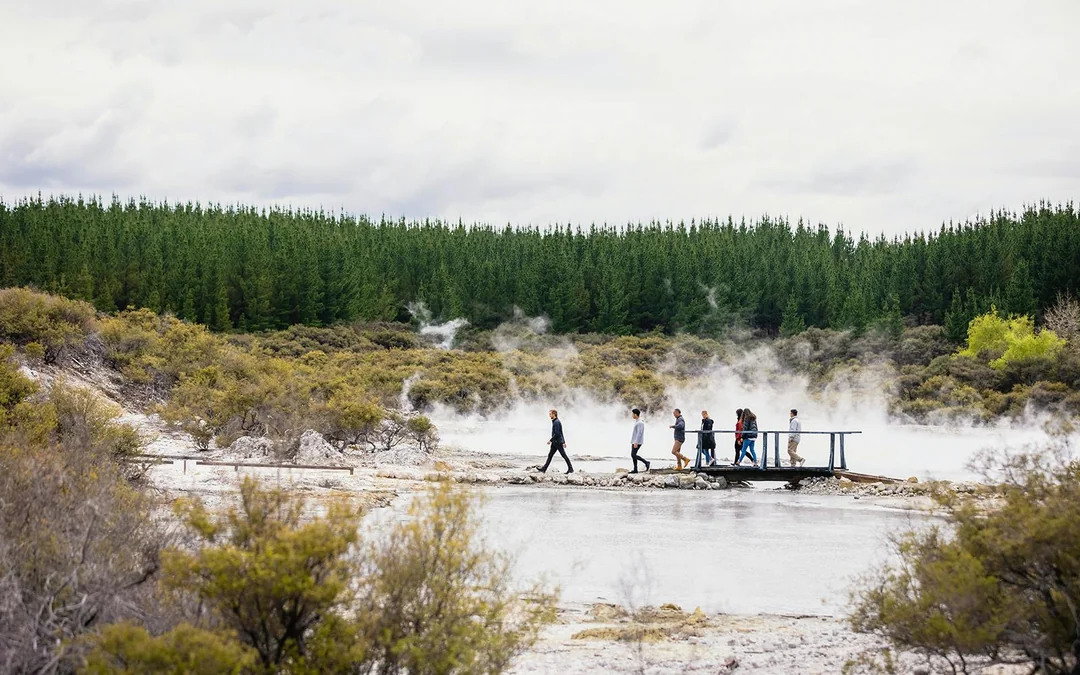 Hell's Gate Geothermal Walk & Māori Carving Tickets Image 3