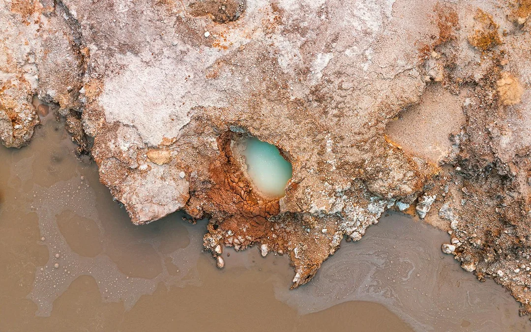 Hell's Gate Geothermal Walk & Māori Carving Tickets Image 10