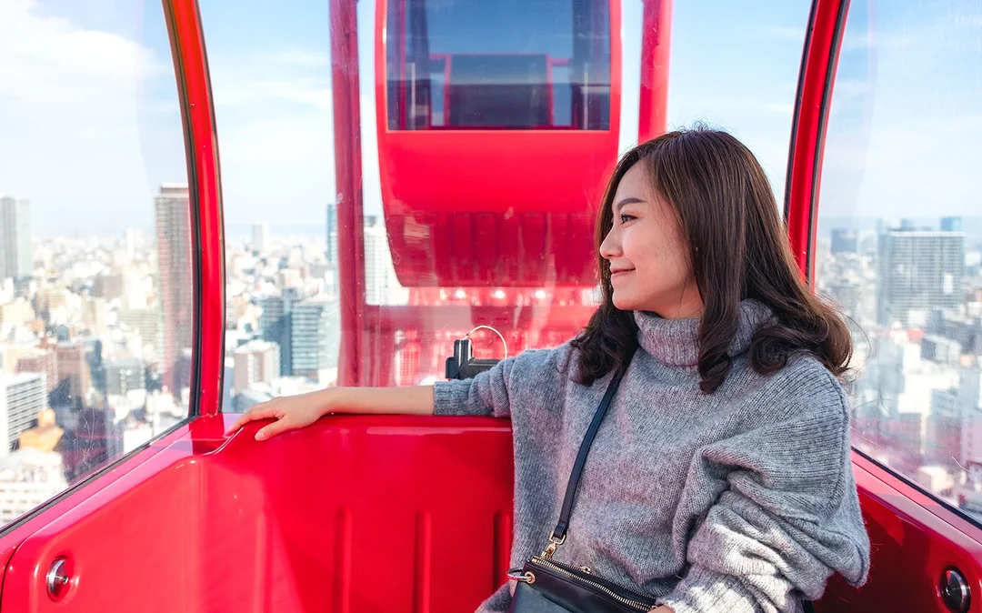 HEP Ferris Wheel Ticket Image 1