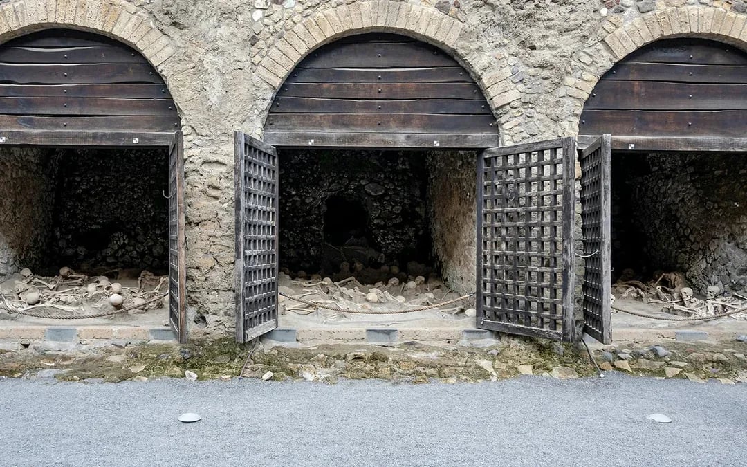 Herculaneum Timed Entry Tickets with Round-Trip Transfers Image 7