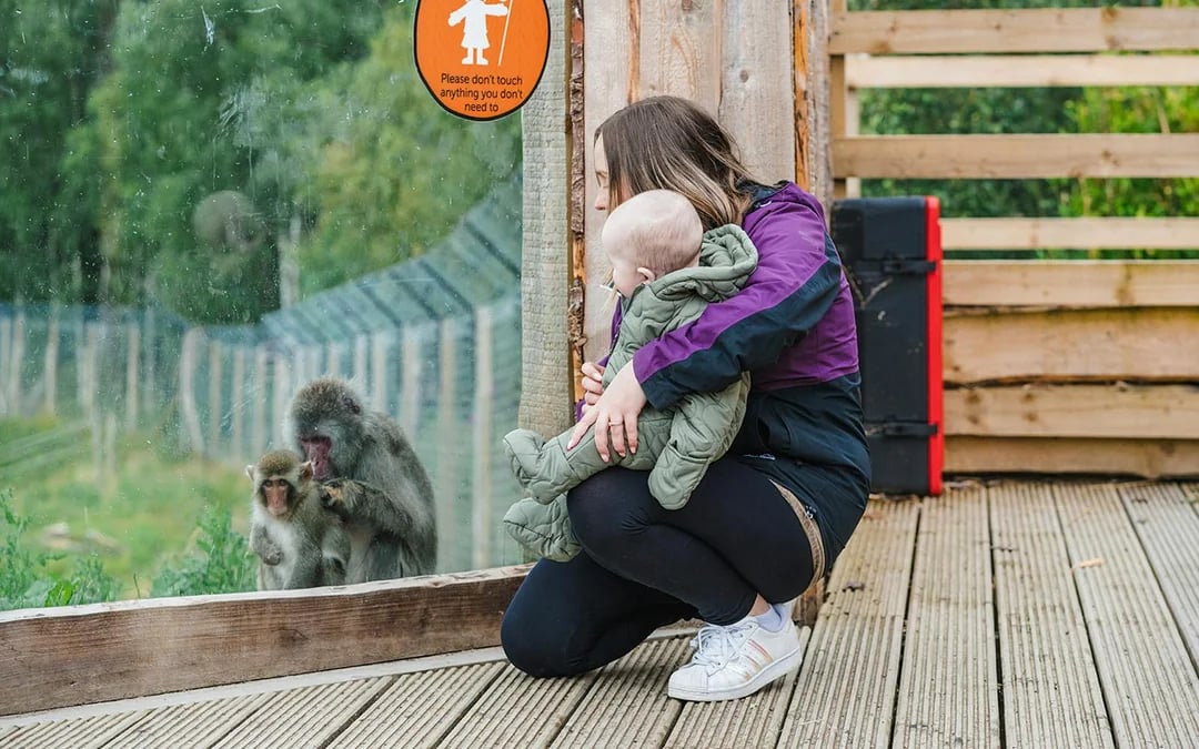 Highland Wildlife Park Entrance Tickets Image 2
