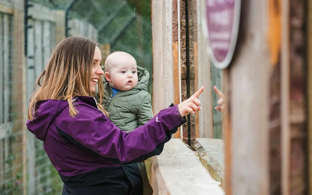Highland Wildlife Park Entrance Tickets Image 6