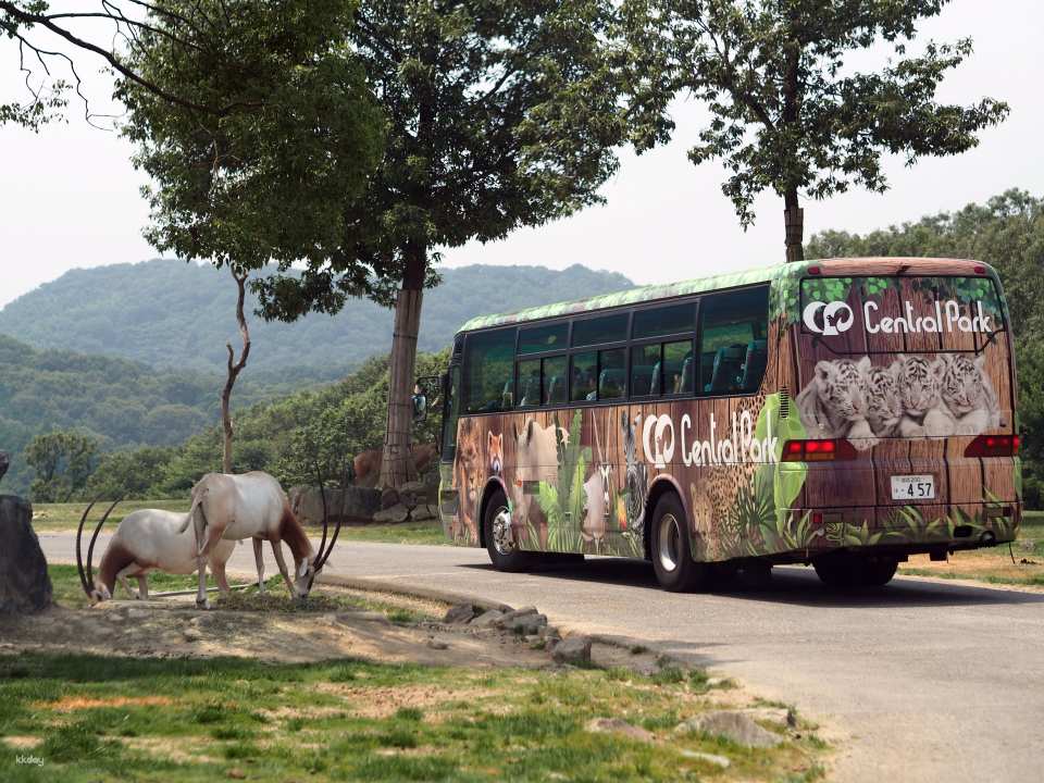 Himeji Central Park admission ticket (Himeji City, Hyogo Prefecture)