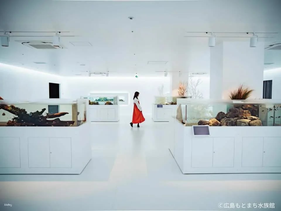 Hiroshima Motomachi Aquarium Admission Ticket (Hiroshima Prefecture, Hiroshima City)