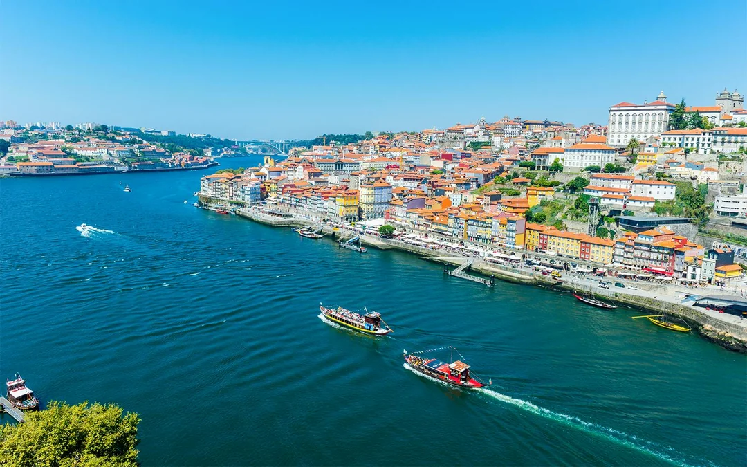 Historic Douro Valley Guided Tour with 1-Hour Pinhão Cruise, Traditional Lunch & Wine Tastings Image 5