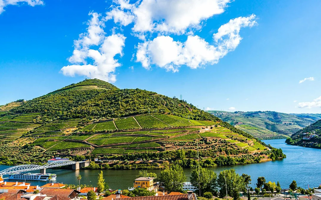 Historic Douro Valley Guided Tour with 1-Hour Pinhão Cruise, Traditional Lunch & Wine Tastings Image 10