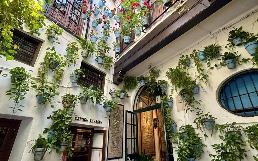 Historic Málaga Walking Tour: Picasso & Iconic Landmarks Image 5