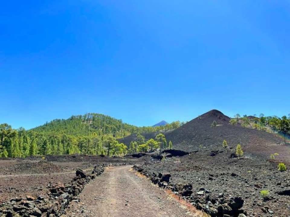 Historic Volcanoes Hiking Tour