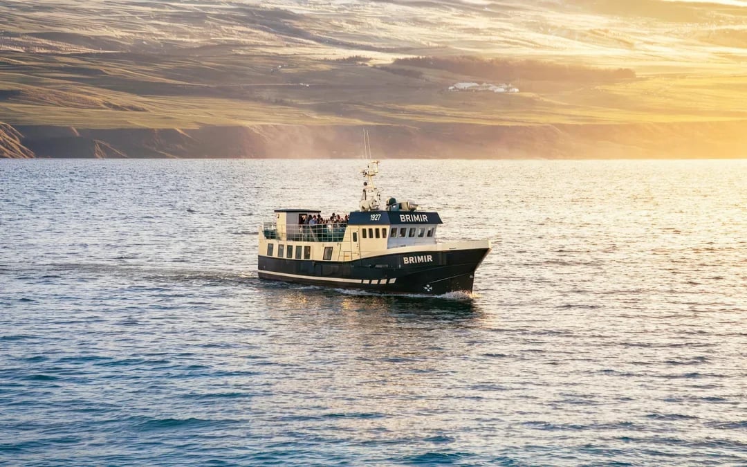 Hjalteyri: Whale Watching Small Group Boat Tour Image 6