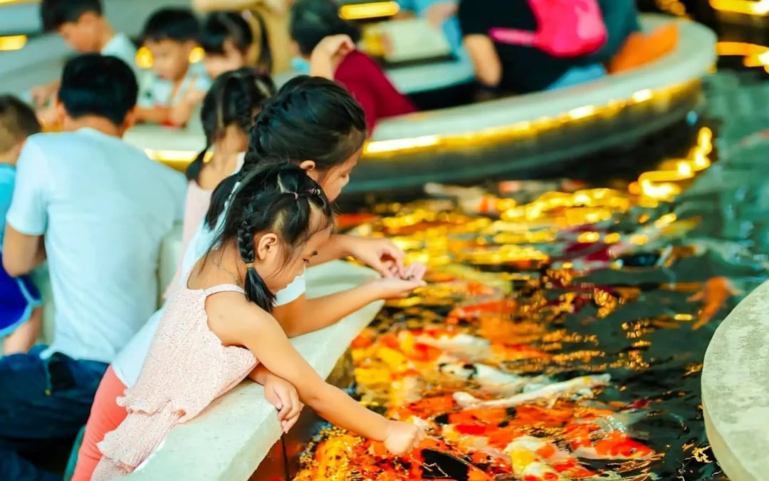 Ho Chi Minh City Hidden Cafes & Koi Fish Cafe Walking Tour With 2 Drinks Image 3