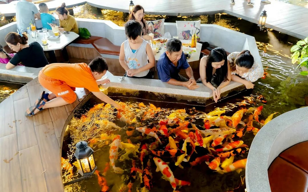 Ho Chi Minh City Hidden Cafes & Koi Fish Cafe Walking Tour With 2 Drinks Image 4
